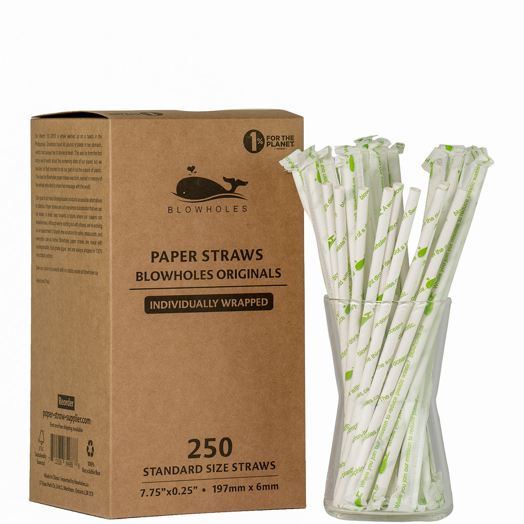 BH - Paper Straw Standard White (250 Straws)
