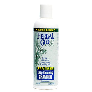 Glo- Tea Tree Shampoo 250ml