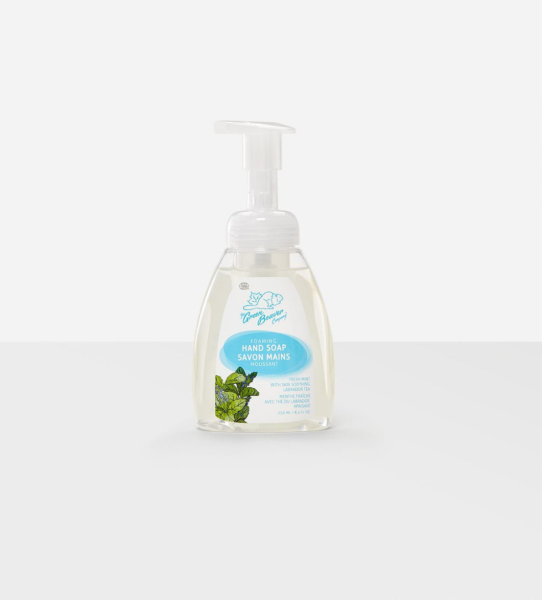 Fresh Mint Natural Foaming Hand Soap Pump (250 mL)