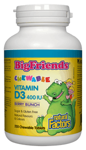 NF - Big Friends Vit D3 Berry (250 Chewables)