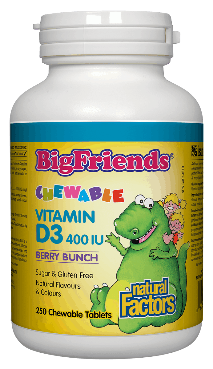 NF - Big Friends Vit D3 Berry (250 Chewables)